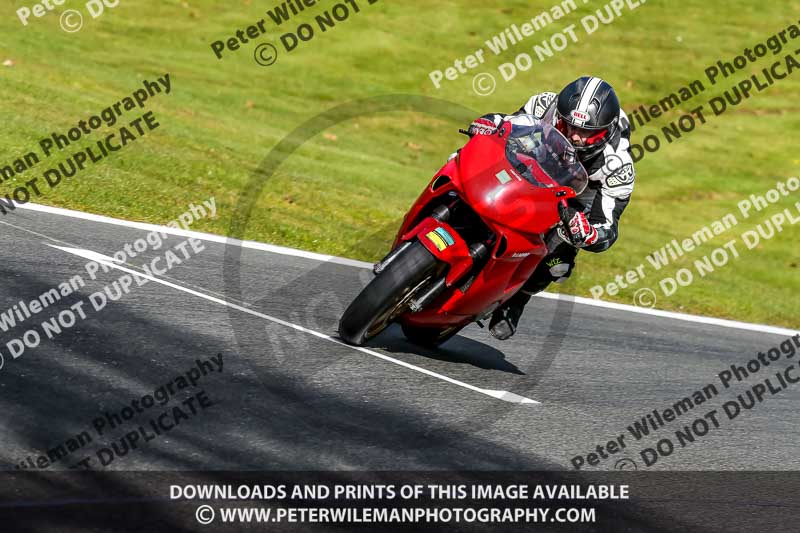 Oulton Park 20th March 2020;PJ Motorsport Photography 2020;anglesey;brands hatch;cadwell park;croft;donington park;enduro digital images;event digital images;eventdigitalimages;mallory;no limits;oulton park;peter wileman photography;racing digital images;silverstone;snetterton;trackday digital images;trackday photos;vmcc banbury run;welsh 2 day enduro